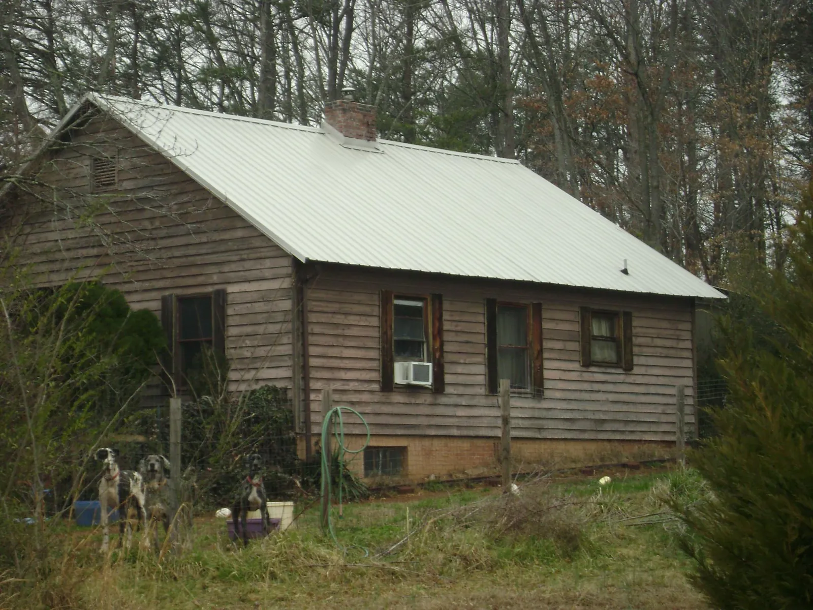 White metal roof on an old wood sided farmhouse, from a Asphalt Shingle Roof Repair job in Spencerville
